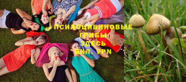 не бодяженный Баксан