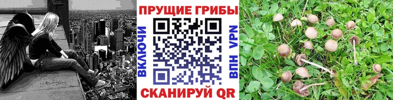 Псилоцибиновые грибы мухоморы  Уварово 